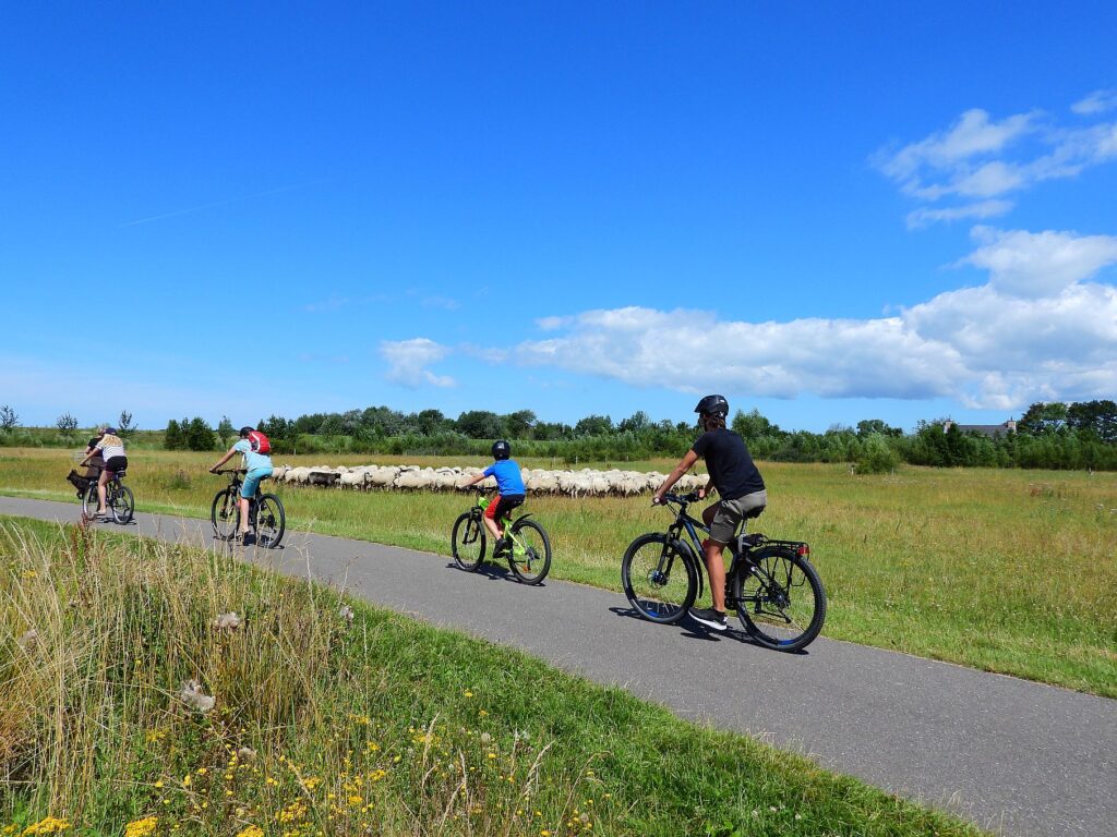 Radfahren im grünen Hinterland West-Zeeuws-Vlaanderens